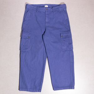 J. Crew Oarsman Relaxed Heavyweight Twill Baggy Cargo Pants Blue Women's 34 y2k